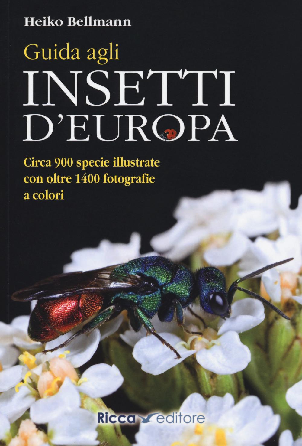Vorderes Coverbild Guida agli insetti d'Europa