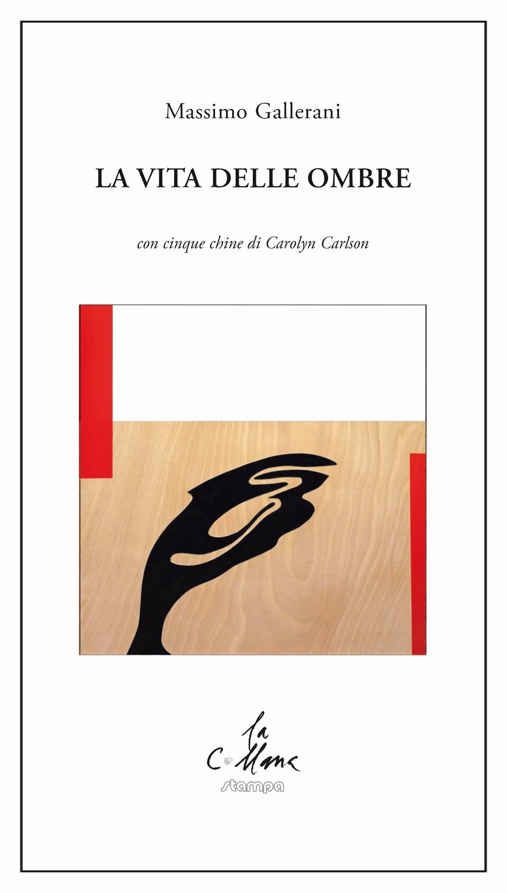 Vorderes Coverbild La vita delle ombre