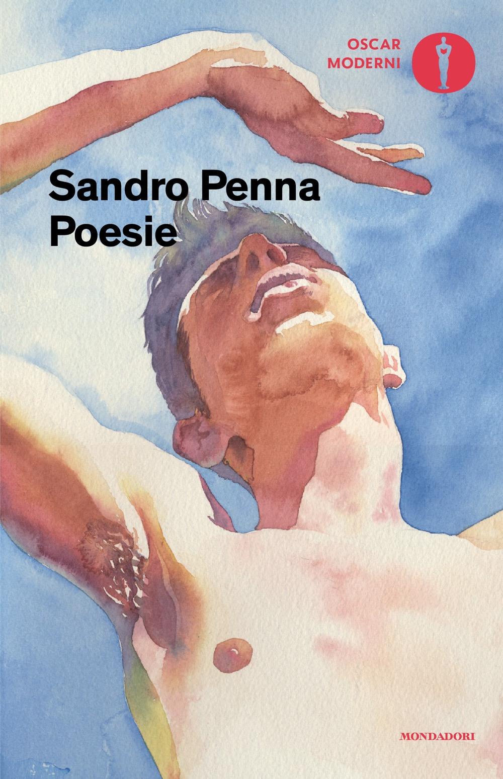 Vorderes Coverbild Poesie