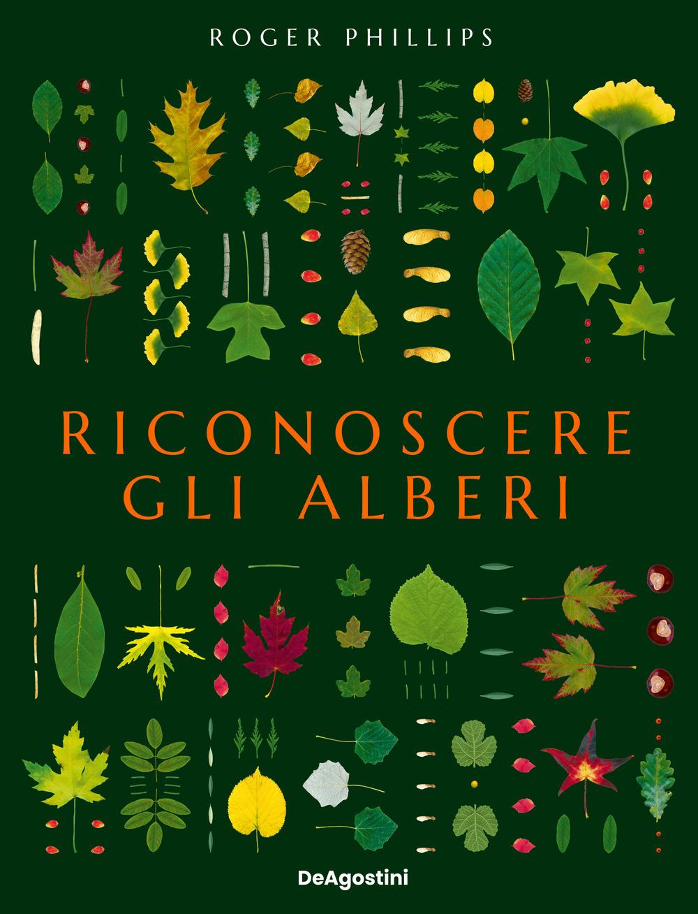 Vorderes Coverbild Riconoscere gli alberi