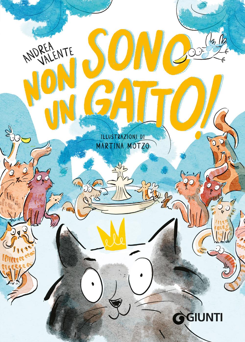Vorderes Coverbild Non sono un gatto!
