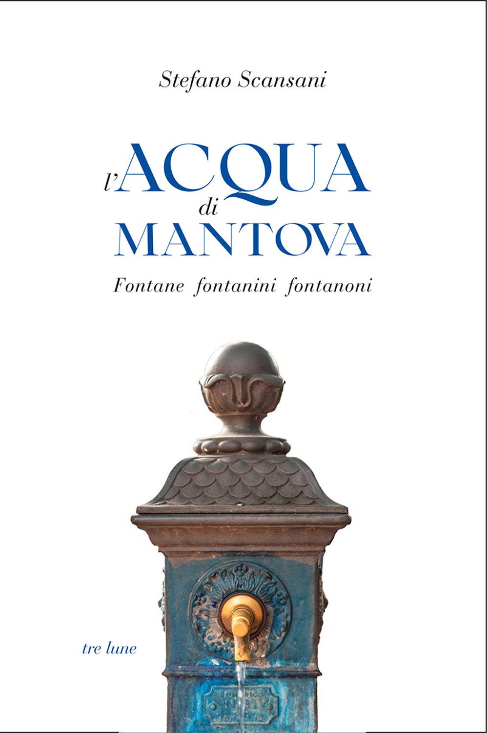 Vorderes Coverbild L' acqua di Mantova. Fontane fontanini fontanoni