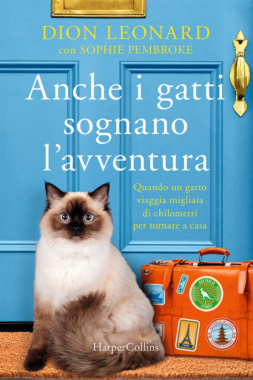 Vorderes Coverbild Anche i gatti sognano l'avventura