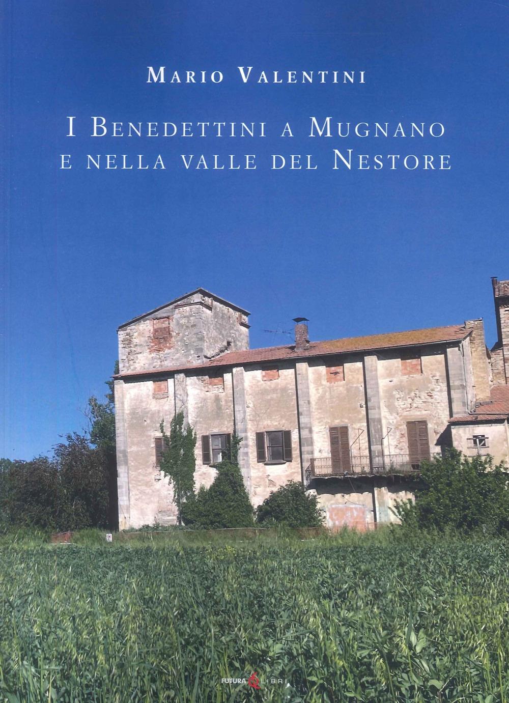 Vorderes Coverbild I benedettini a Mugnano e nella Valle del Nestore
