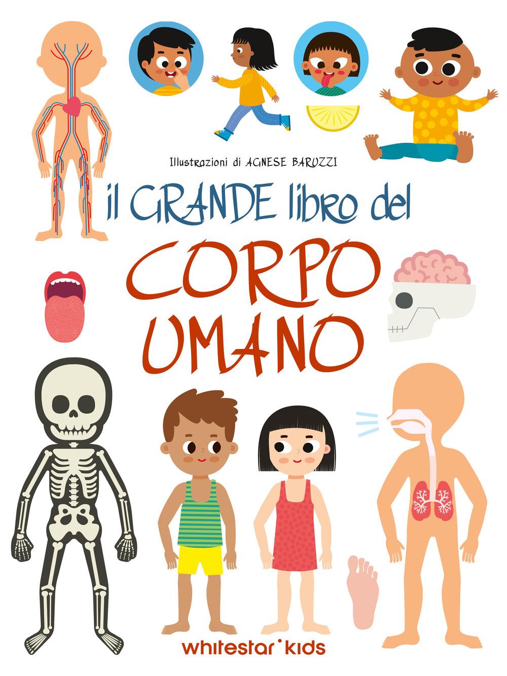 Vorderes Coverbild Il grande libro del corpo umano