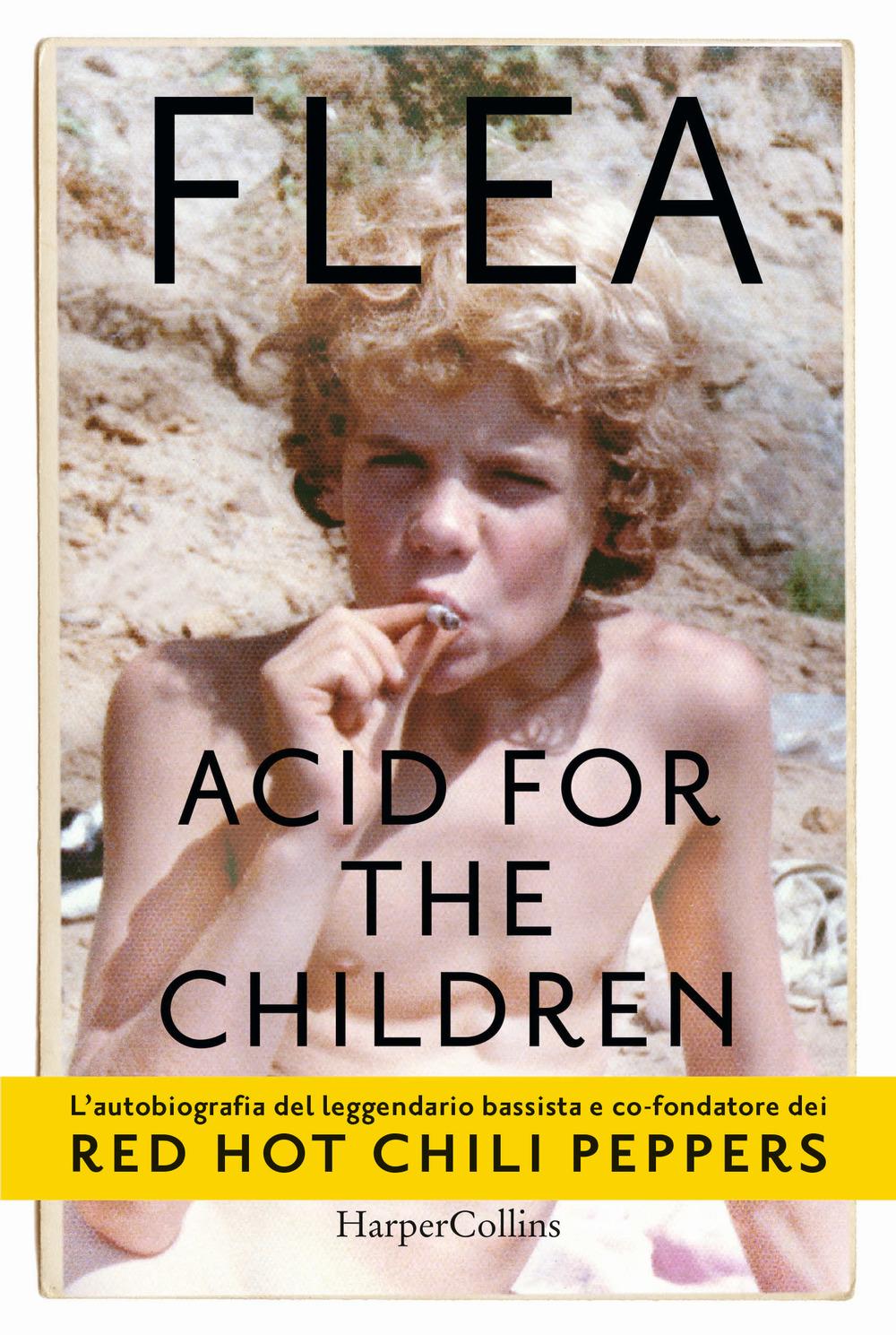 Vorderes Coverbild Acid for the children