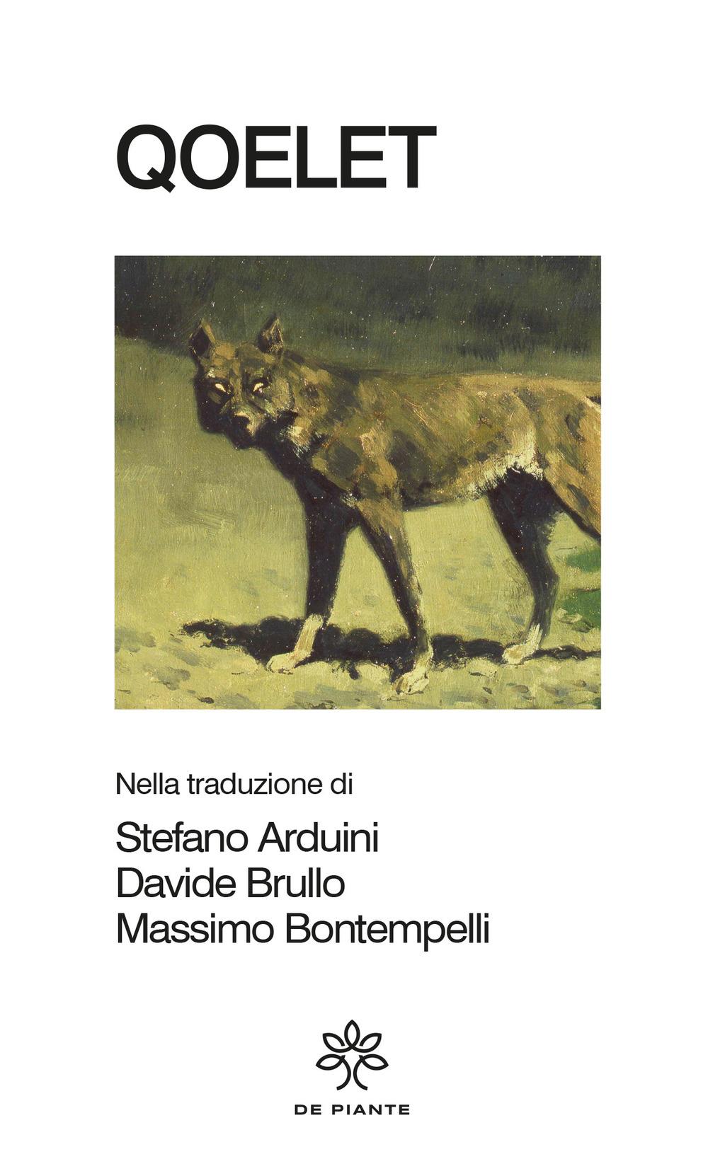 Vorderes Coverbild Qoelet