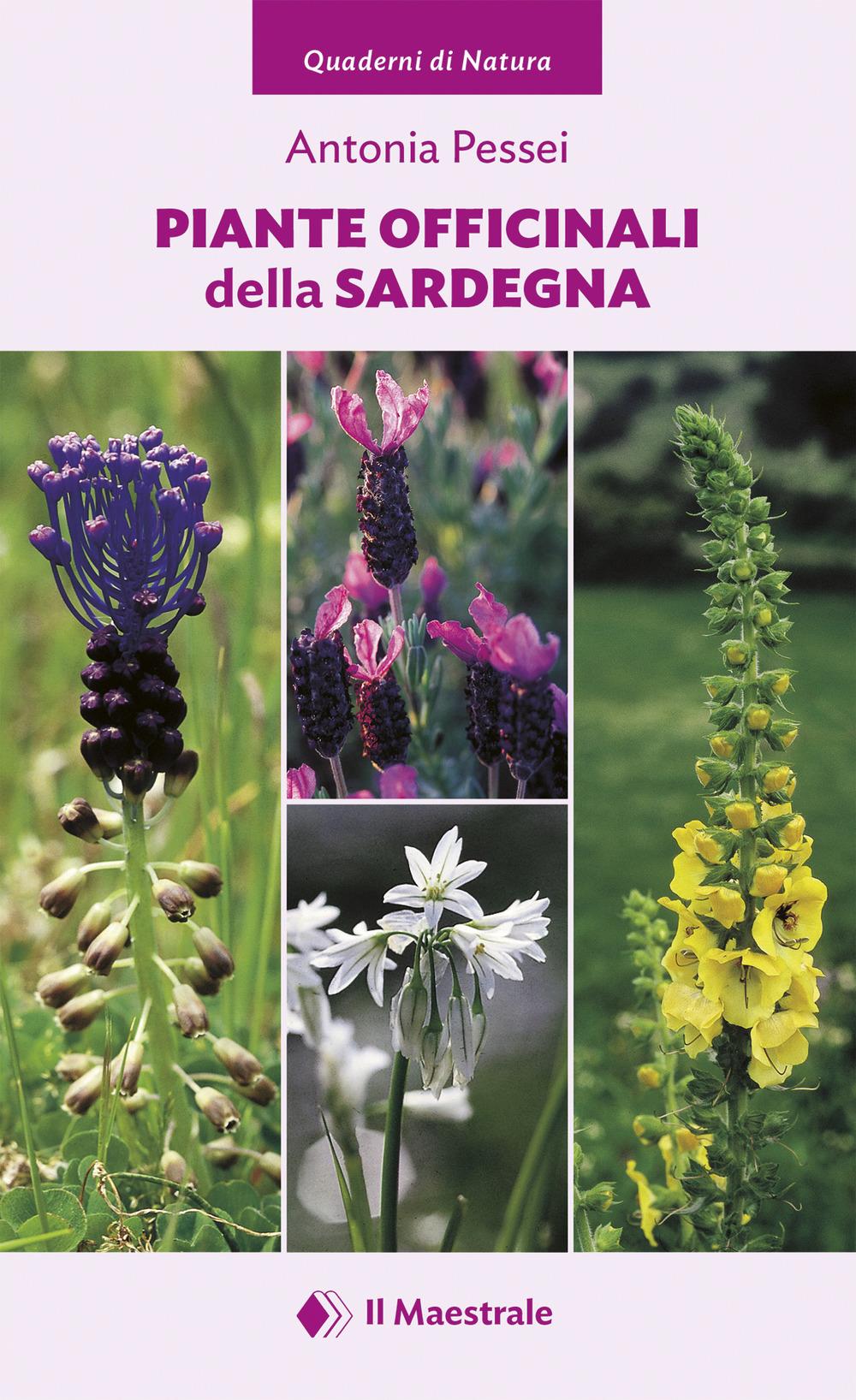 Vorderes Coverbild Piante officinali della Sardegna