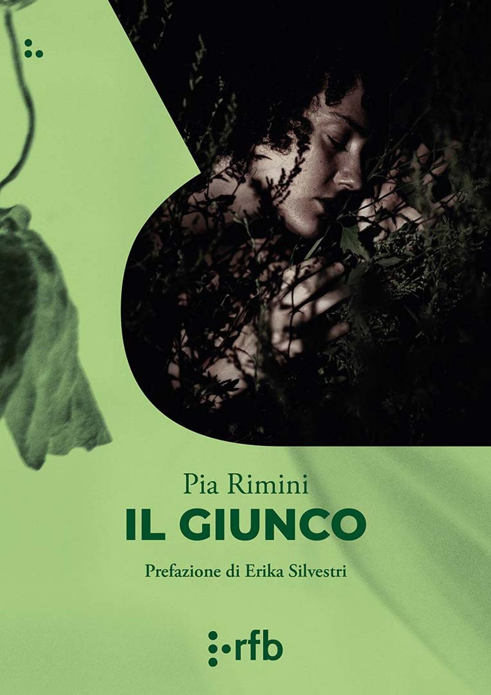 Vorderes Coverbild Il giunco