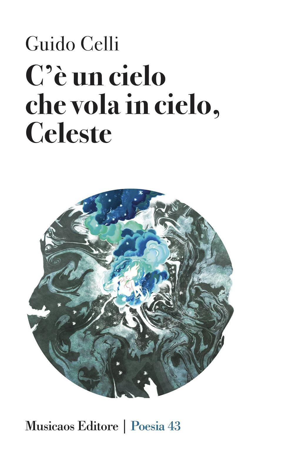 Vorderes Coverbild C'è un cielo che vola in cielo, Celeste