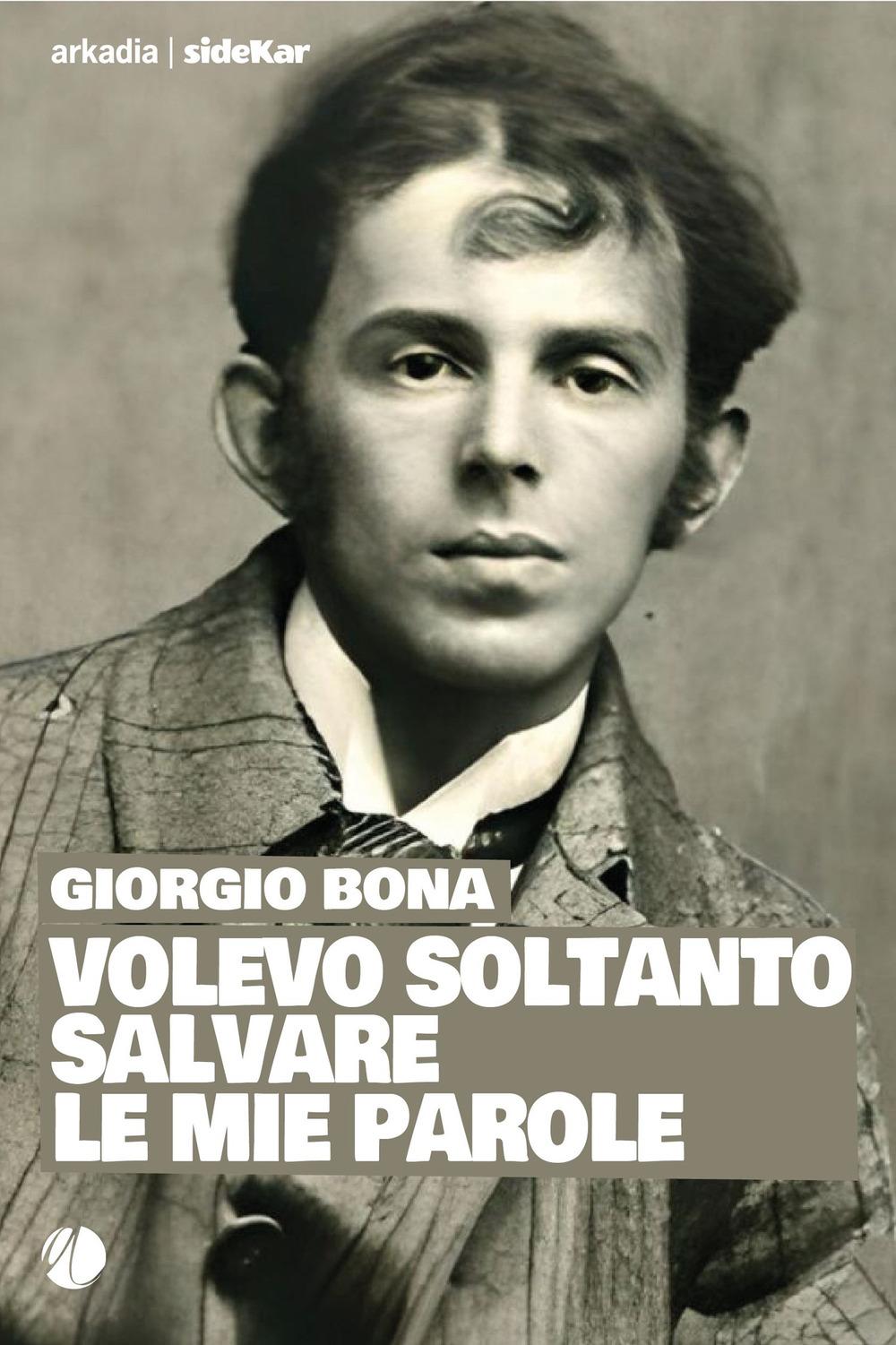 Vorderes Coverbild Volevo soltanto salvare le mie parole