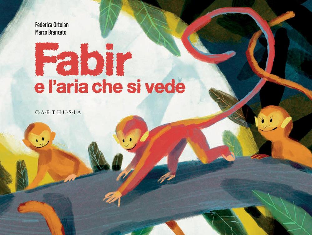 Vorderes Coverbild Fabir e l'aria che si vede