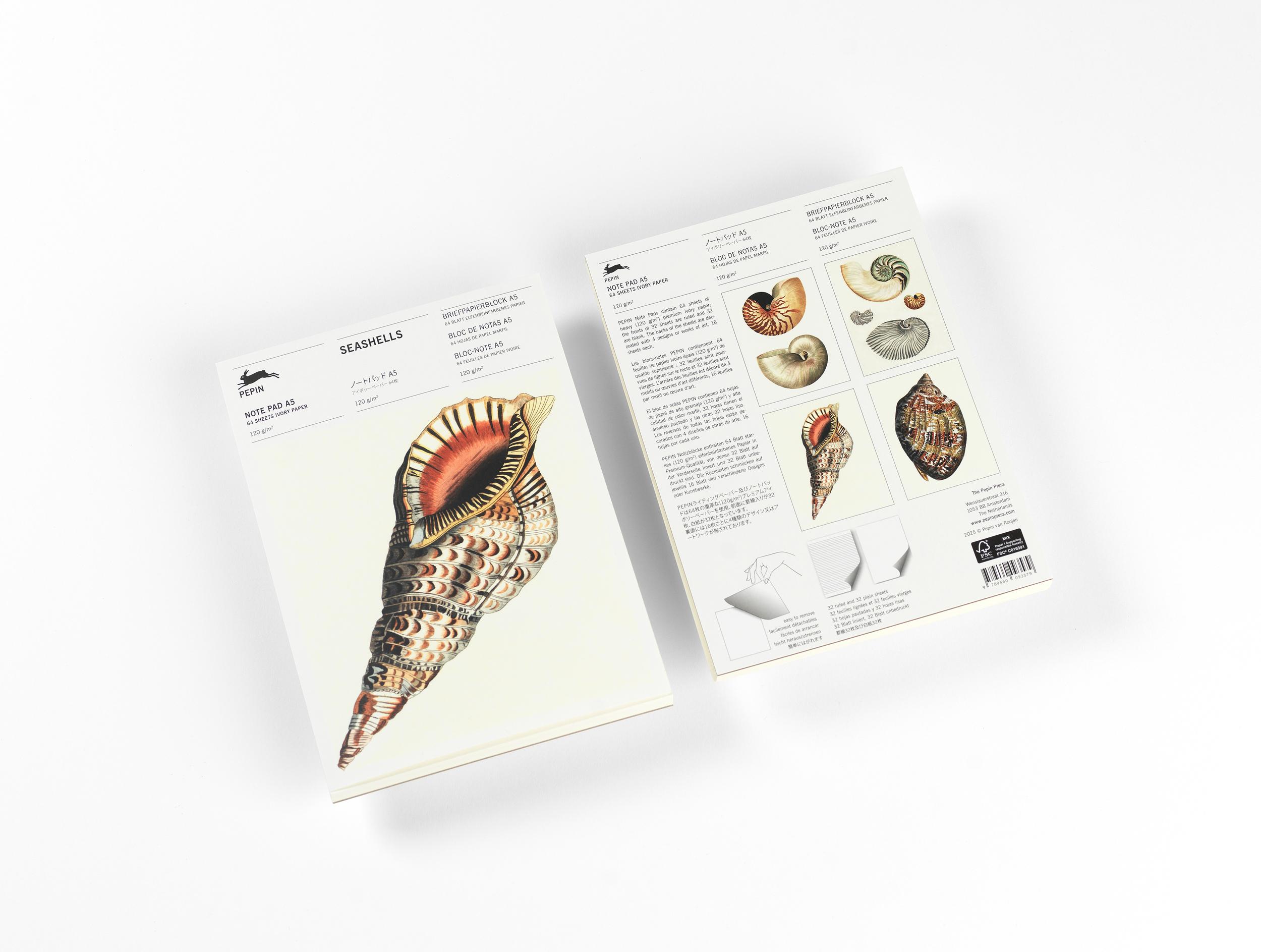 Vorderes Coverbild Seashells