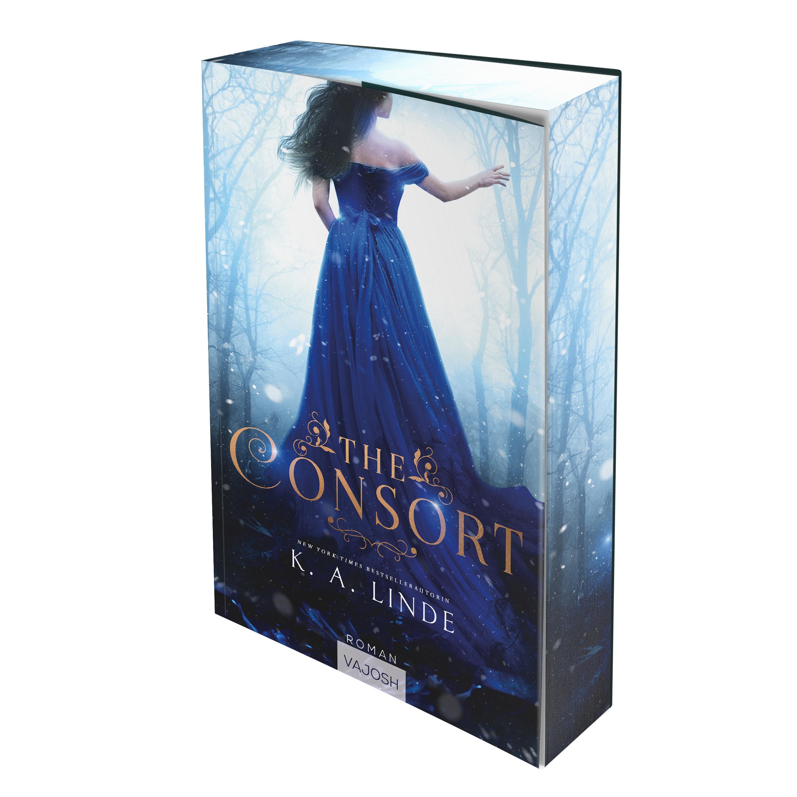 Vorderes Coverbild The Consort