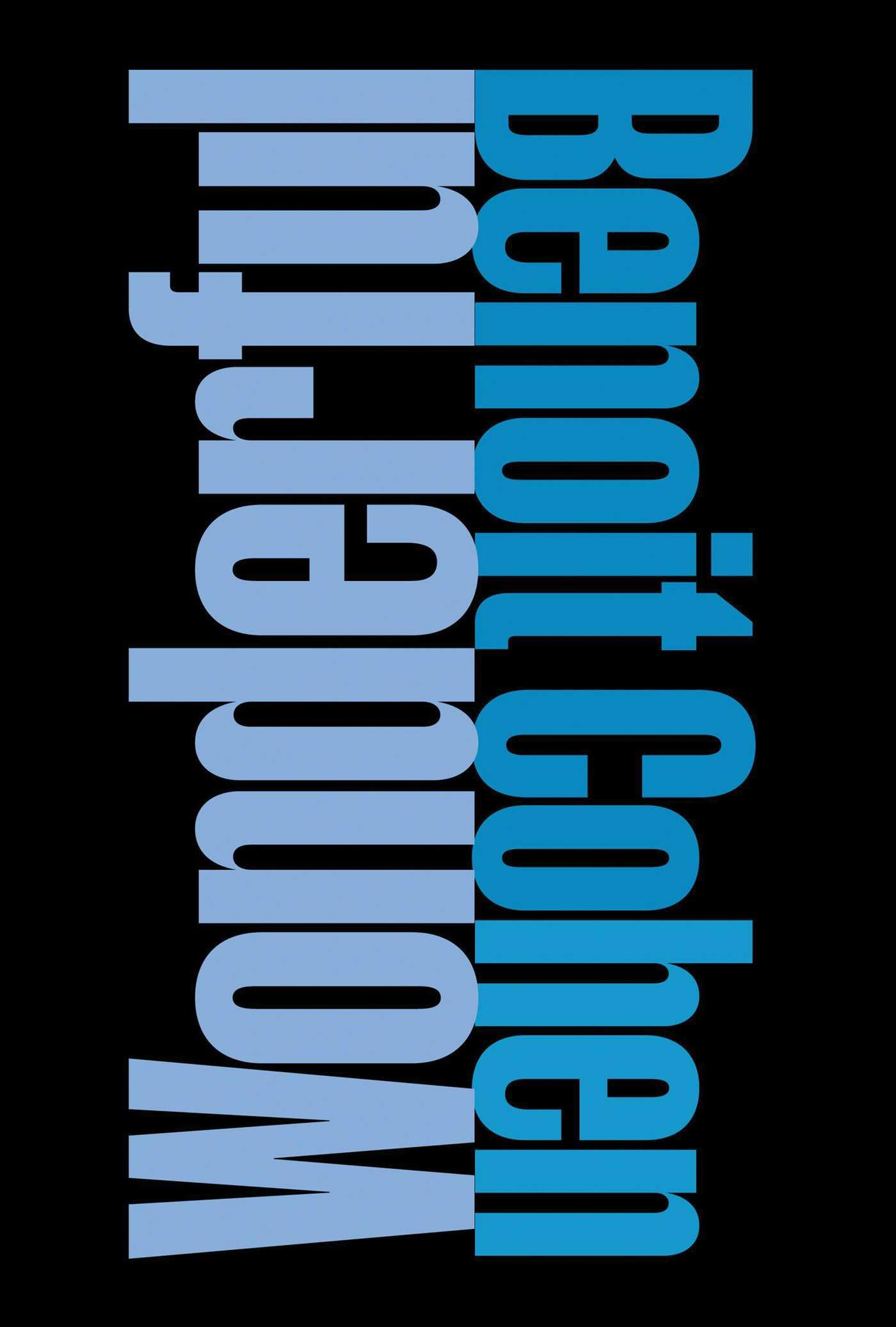 Vorderes Coverbild Wonderful