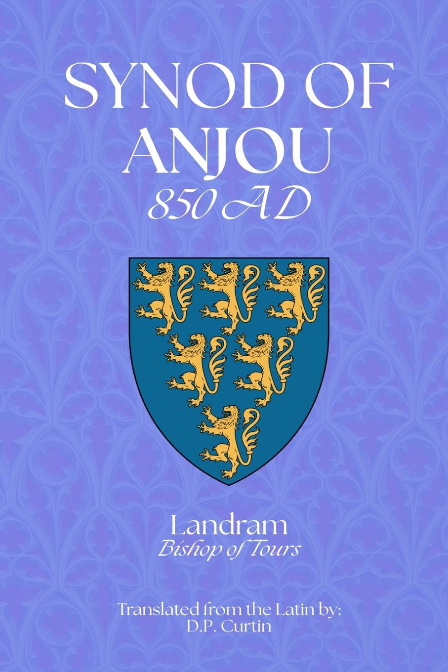 Vorderes Coverbild Synod of Anjou