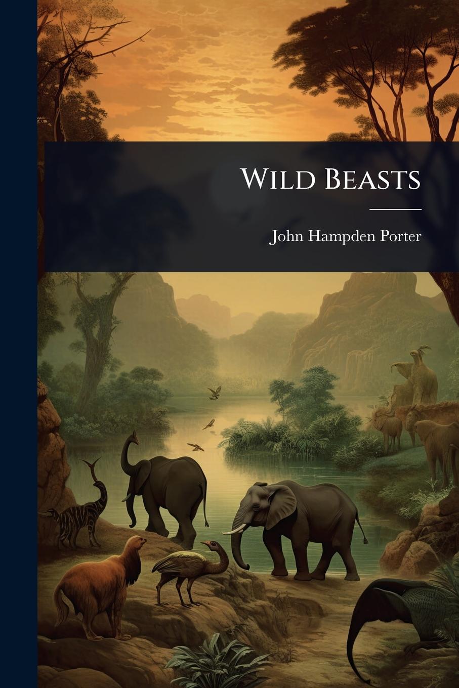 Vorderes Coverbild Wild Beasts