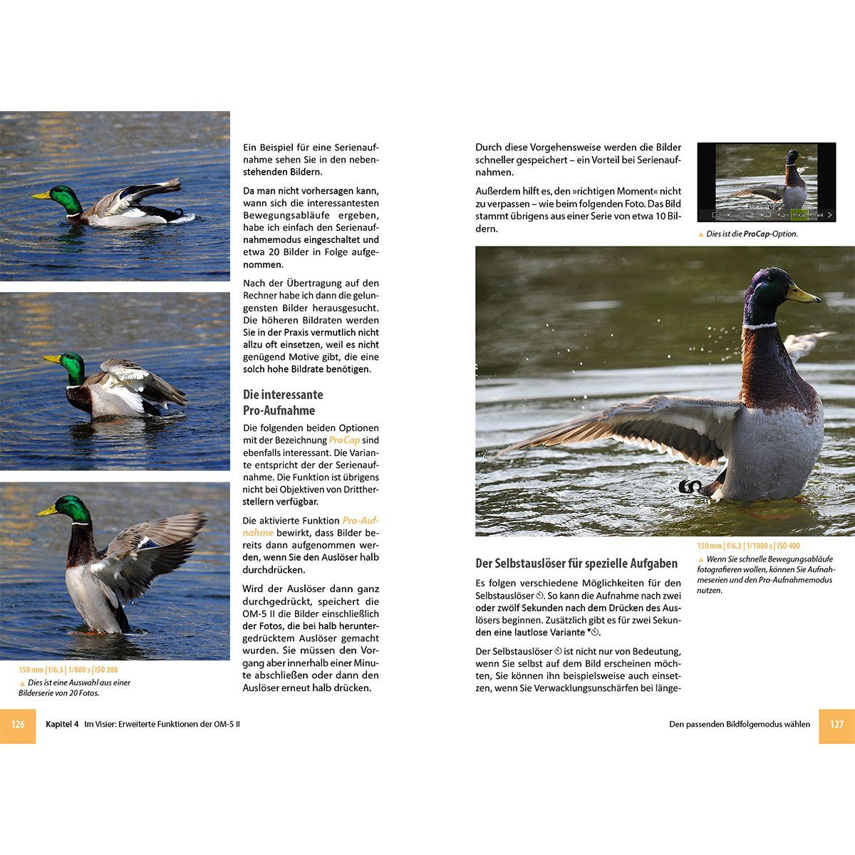 Beispielinhalt (Bild) OM System OM-5 Mark II - Das umfangreiche Praxisbuch zu Ihrer Kamera
