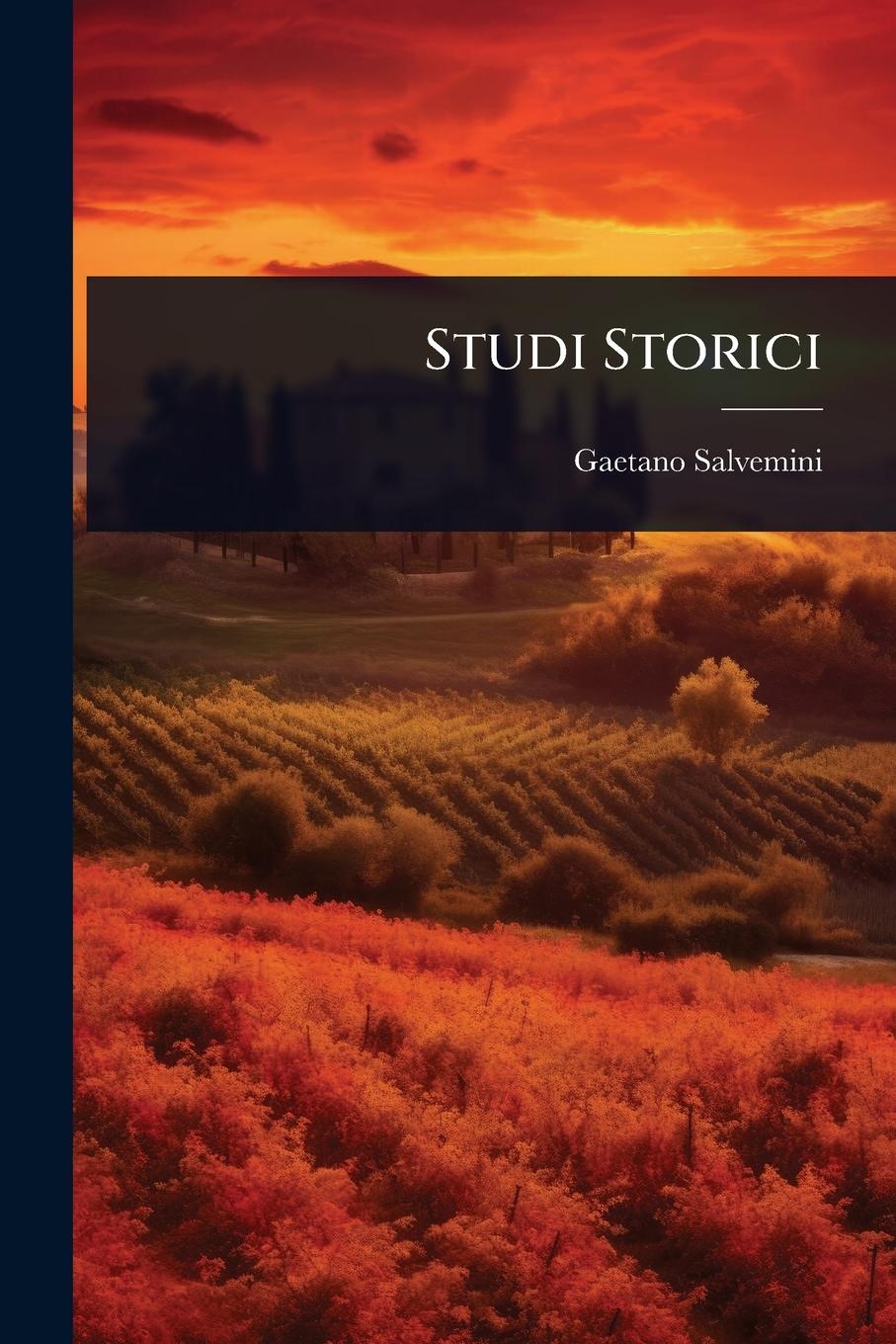 Vorderes Coverbild Studi Storici