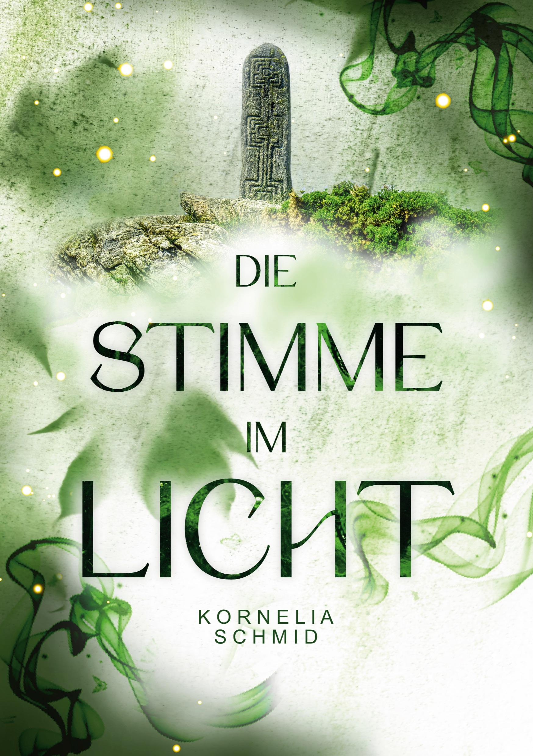 Vorderes Coverbild Die Stimme im Licht