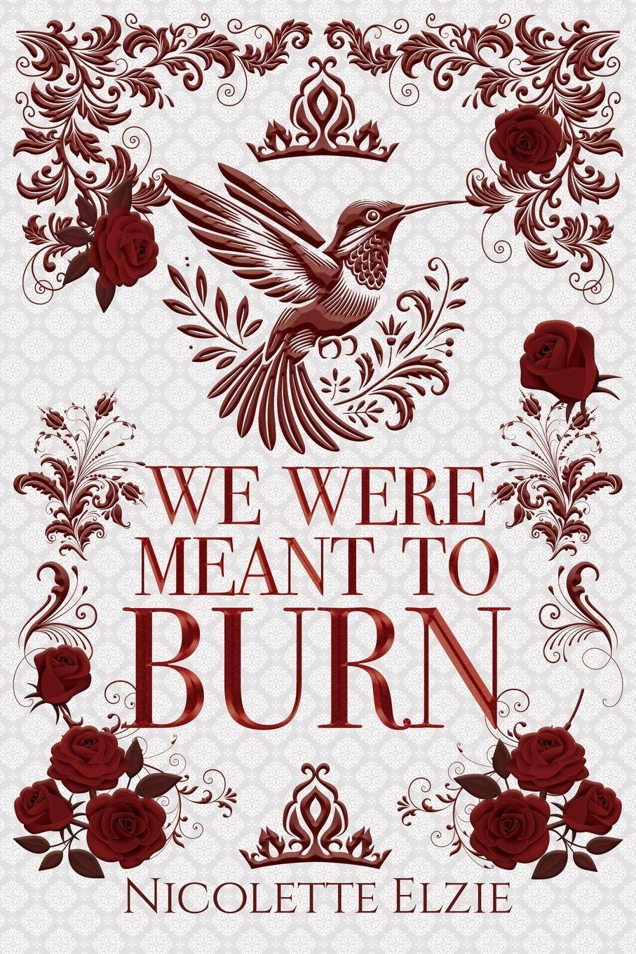 Vorderes Coverbild We Were Meant to Burn