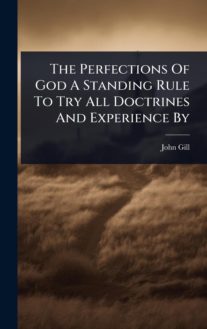 Vorderes Coverbild The Perfections Of God A Standing Rule To Try All Doctrines And Experience By