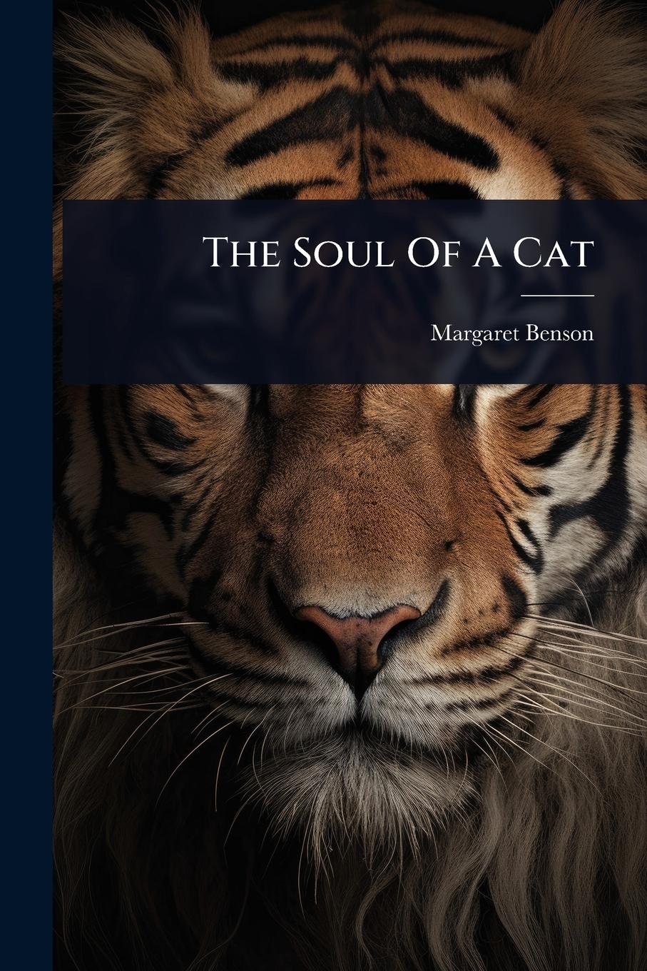 Vorderes Coverbild The Soul Of A Cat