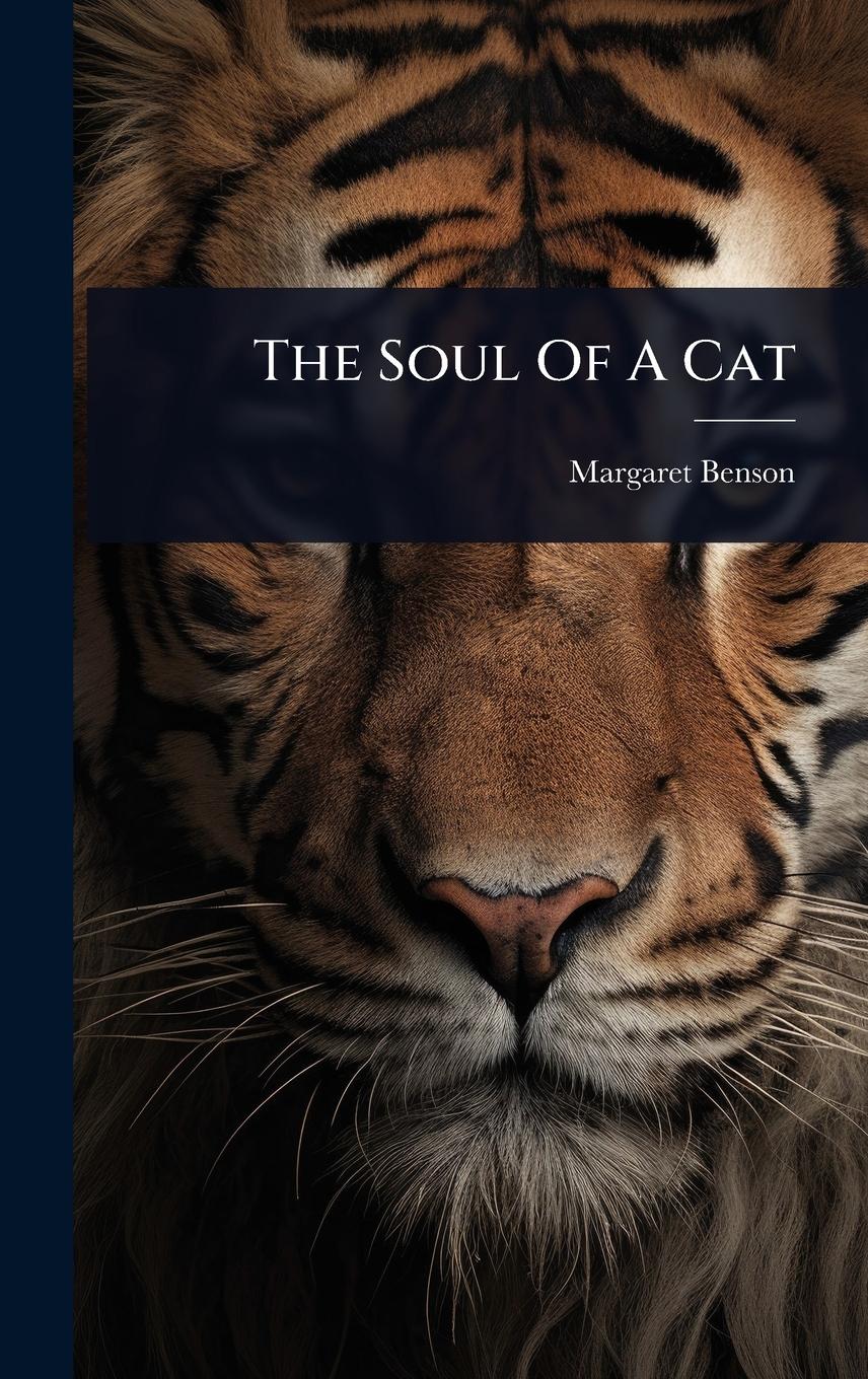 Vorderes Coverbild The Soul Of A Cat