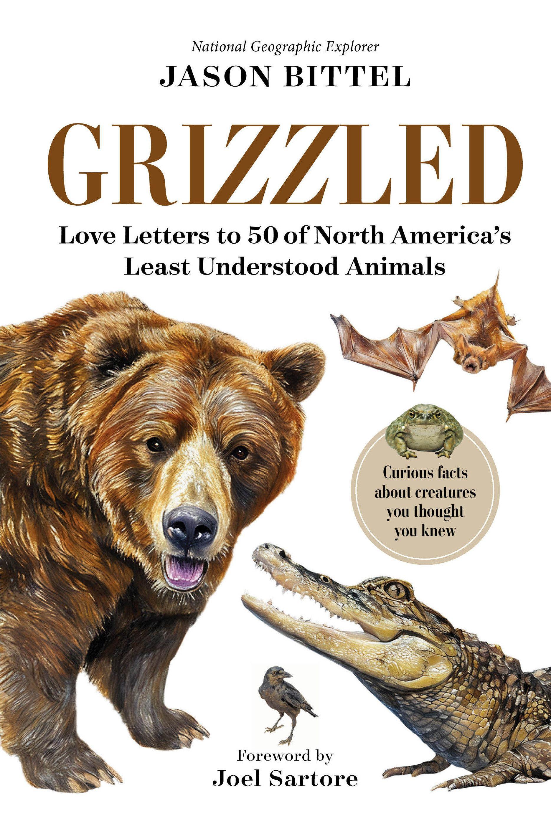 Vorderes Coverbild Grizzled