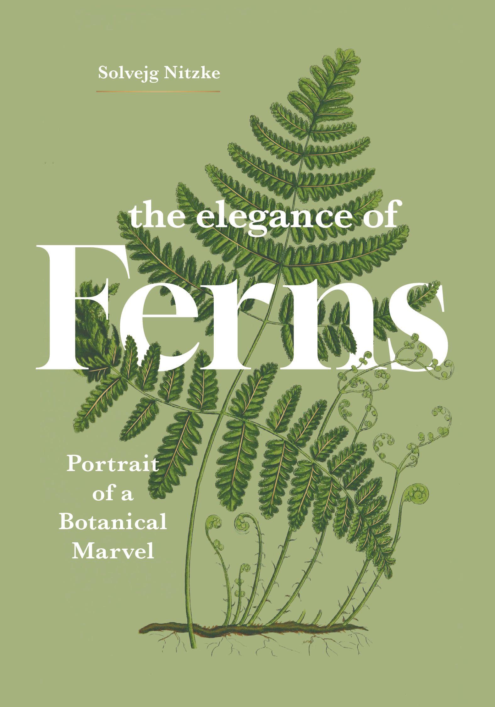 Vorderes Coverbild The Elegance of Ferns