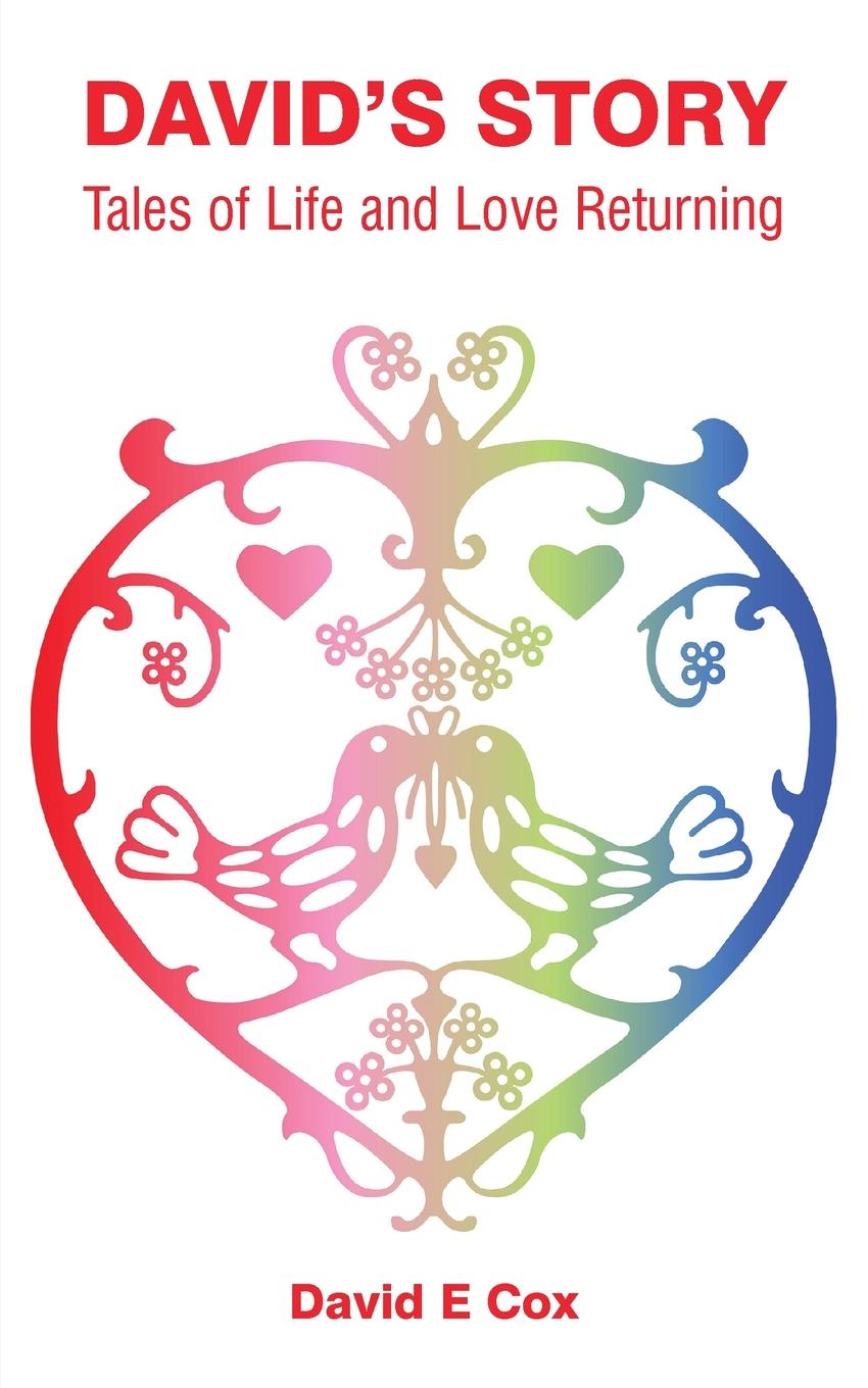 Vorderes Coverbild David's Story