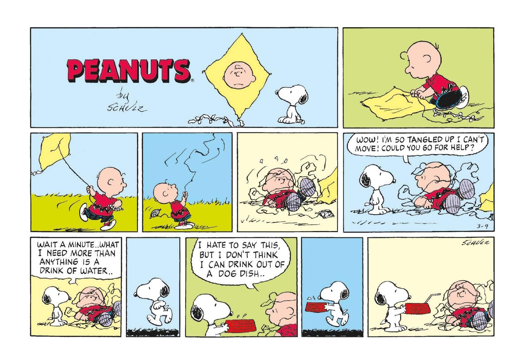 Beispielinhalt (Bild) Peanuts: Happiness Is a Postcard