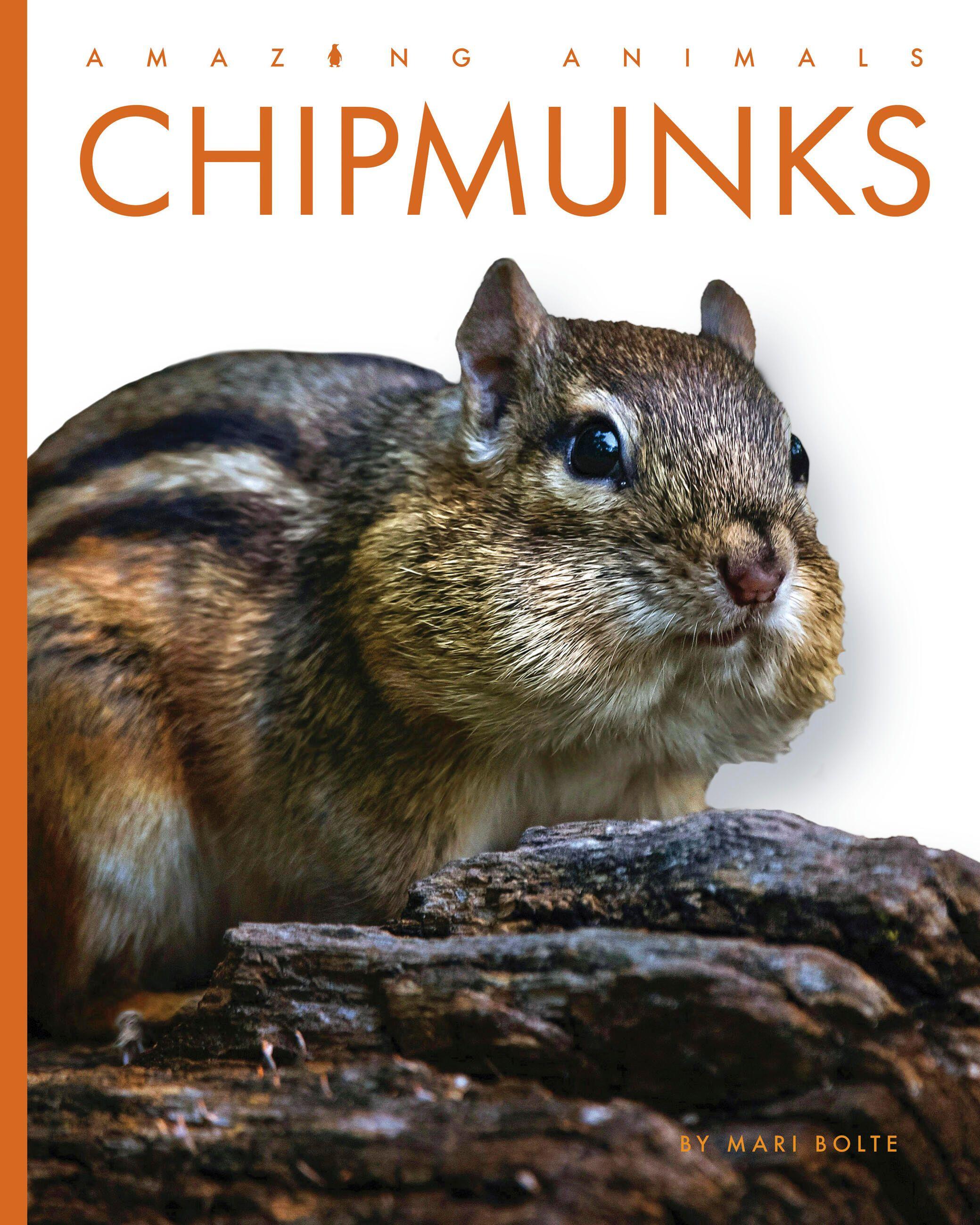 Vorderes Coverbild Chipmunks