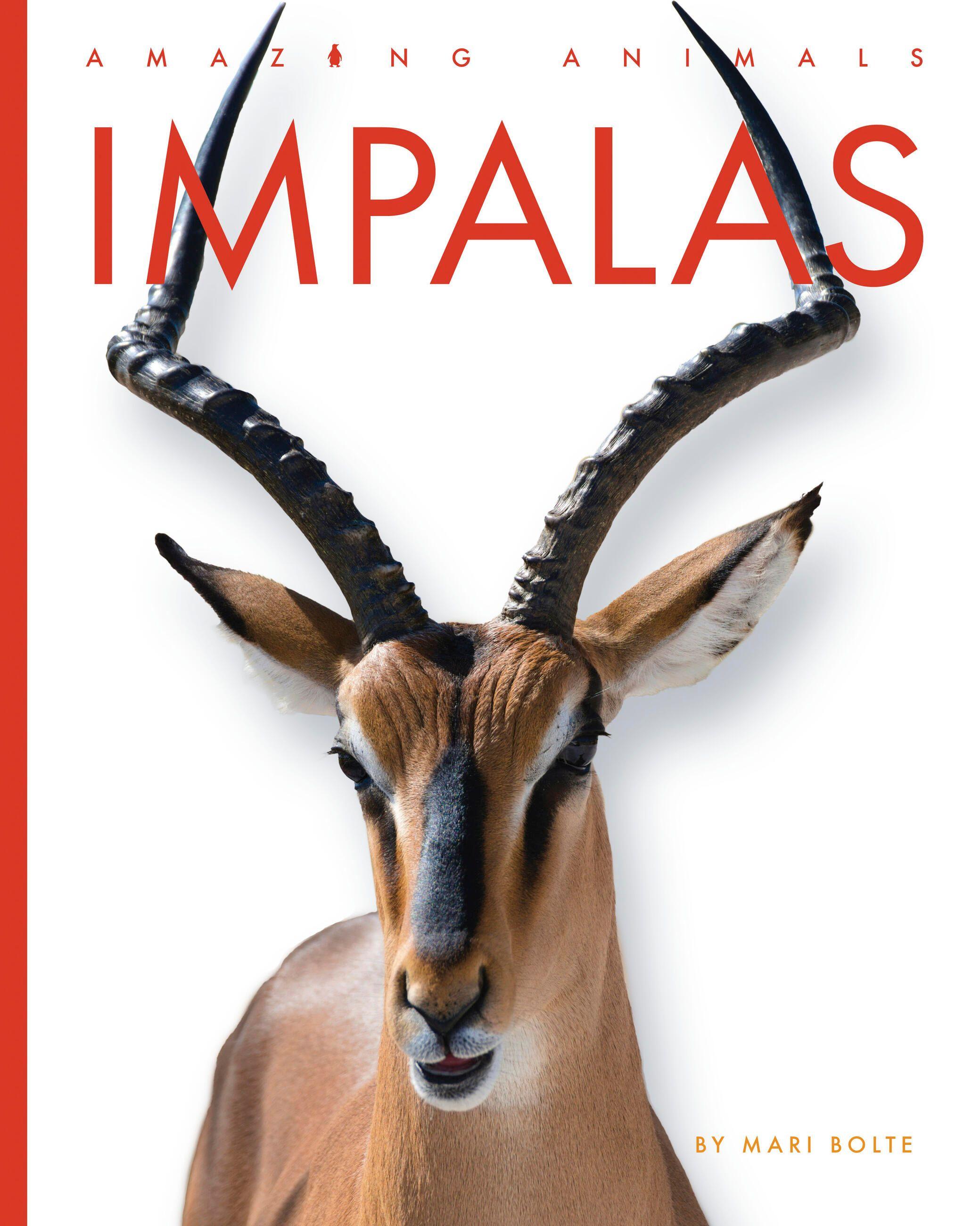 Vorderes Coverbild Impalas