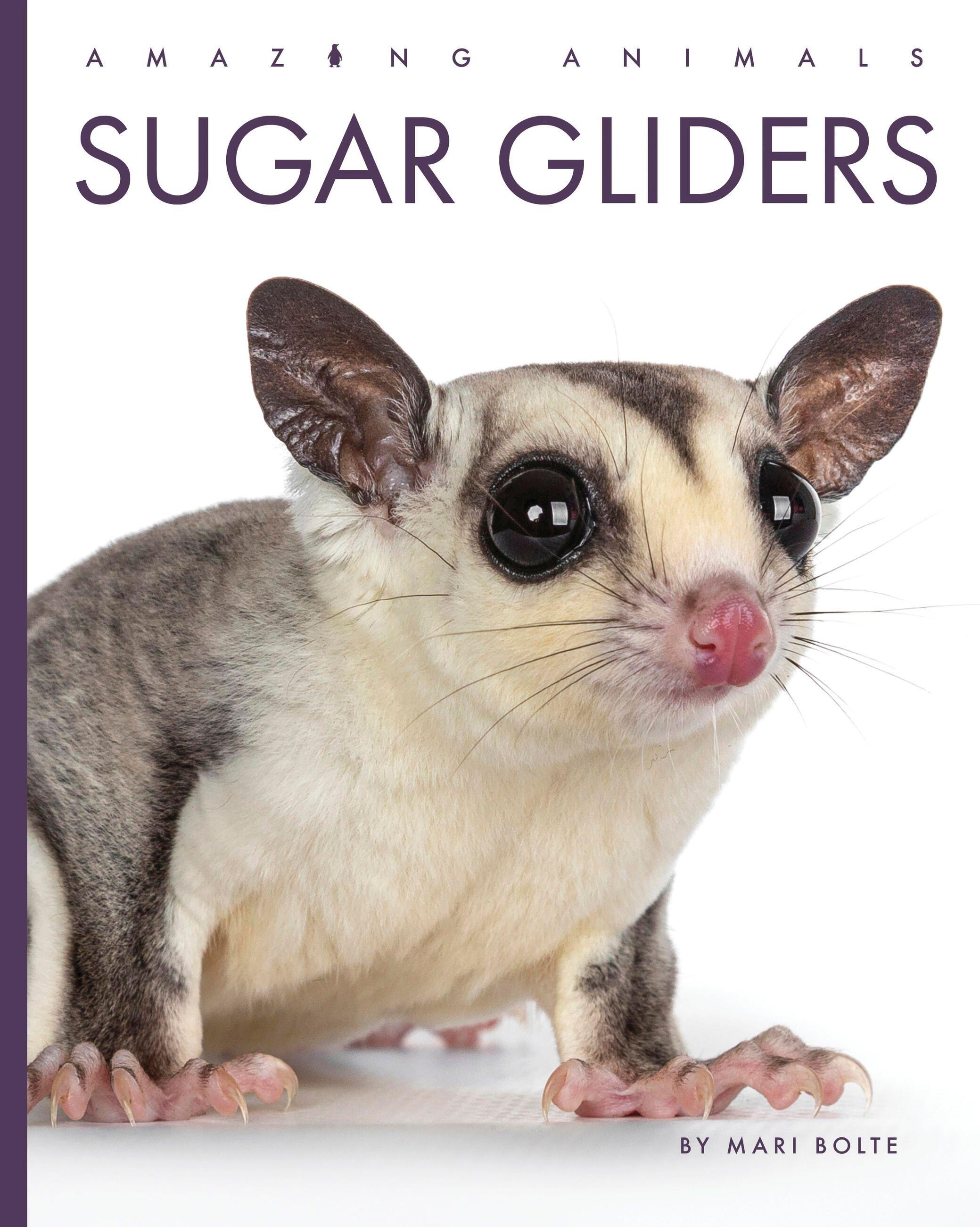 Vorderes Coverbild Sugar Gliders
