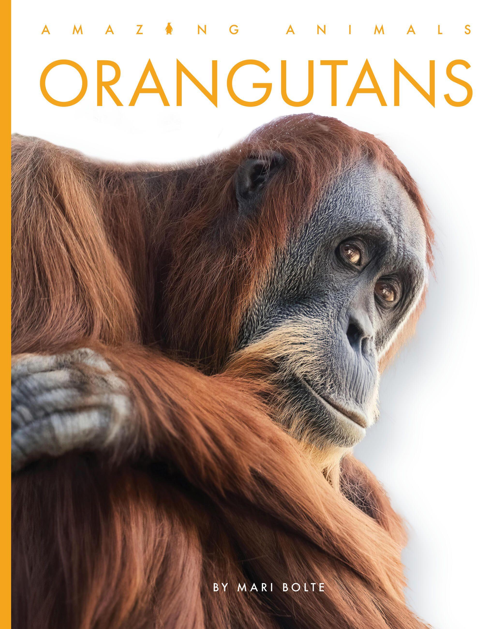 Vorderes Coverbild Orangutans