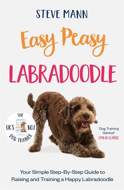 Vorderes Coverbild Easy Peasy Labradoodle