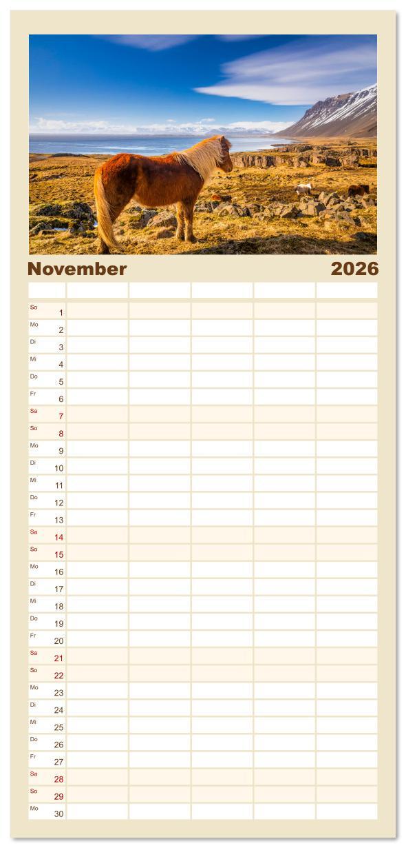 Beispielinhalt (Bild) Familienplaner 2026 - Islandpferde - Die süßen Pferde im Norden. mit 5 Spalten (Wandkalender, 21 x 45 cm) CALVENDO