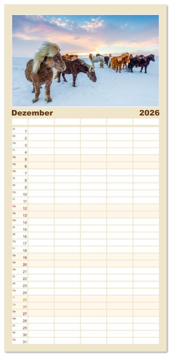 Beispielinhalt (Bild) Familienplaner 2026 - Islandpferde - Die süßen Pferde im Norden. mit 5 Spalten (Wandkalender, 21 x 45 cm) CALVENDO