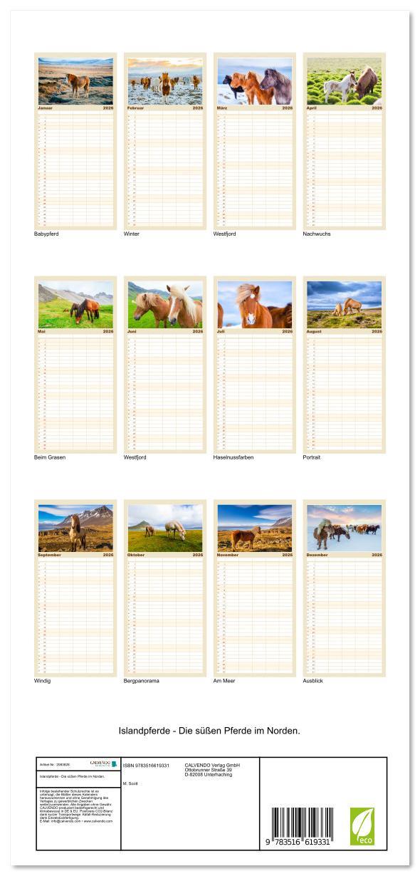 Beispielinhalt (Bild) Familienplaner 2026 - Islandpferde - Die süßen Pferde im Norden. mit 5 Spalten (Wandkalender, 21 x 45 cm) CALVENDO