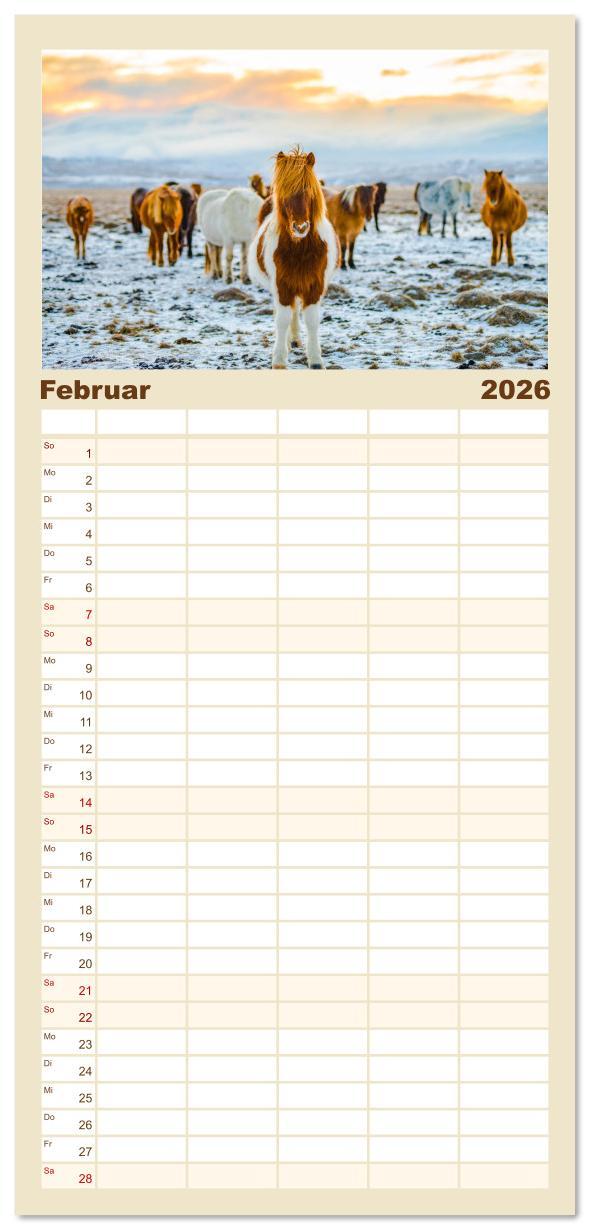 Beispielinhalt (Bild) Familienplaner 2026 - Islandpferde - Die süßen Pferde im Norden. mit 5 Spalten (Wandkalender, 21 x 45 cm) CALVENDO