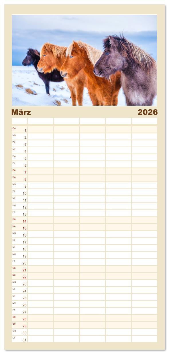 Beispielinhalt (Bild) Familienplaner 2026 - Islandpferde - Die süßen Pferde im Norden. mit 5 Spalten (Wandkalender, 21 x 45 cm) CALVENDO