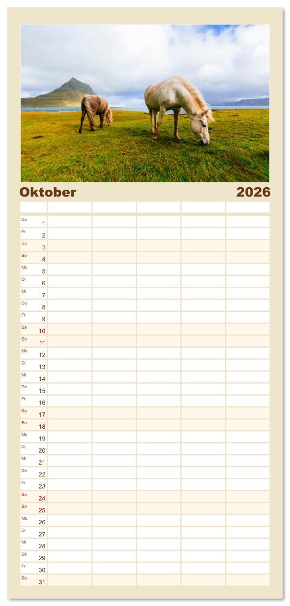Beispielinhalt (Bild) Familienplaner 2026 - Islandpferde - Die süßen Pferde im Norden. mit 5 Spalten (Wandkalender, 21 x 45 cm) CALVENDO