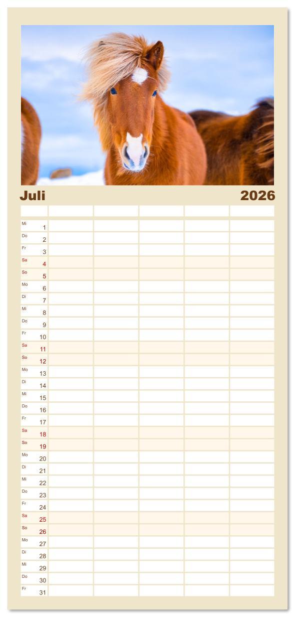 Beispielinhalt (Bild) Familienplaner 2026 - Islandpferde - Die süßen Pferde im Norden. mit 5 Spalten (Wandkalender, 21 x 45 cm) CALVENDO