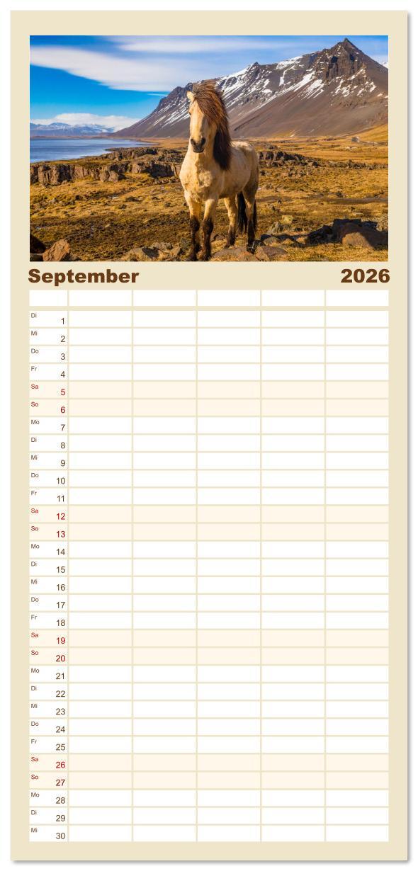 Beispielinhalt (Bild) Familienplaner 2026 - Islandpferde - Die süßen Pferde im Norden. mit 5 Spalten (Wandkalender, 21 x 45 cm) CALVENDO