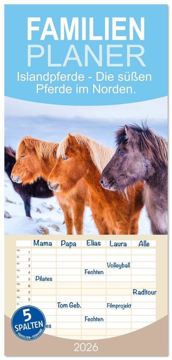 Vorderes Coverbild Familienplaner 2026 - Islandpferde - Die süßen Pferde im Norden. mit 5 Spalten (Wandkalender, 21 x 45 cm) CALVENDO