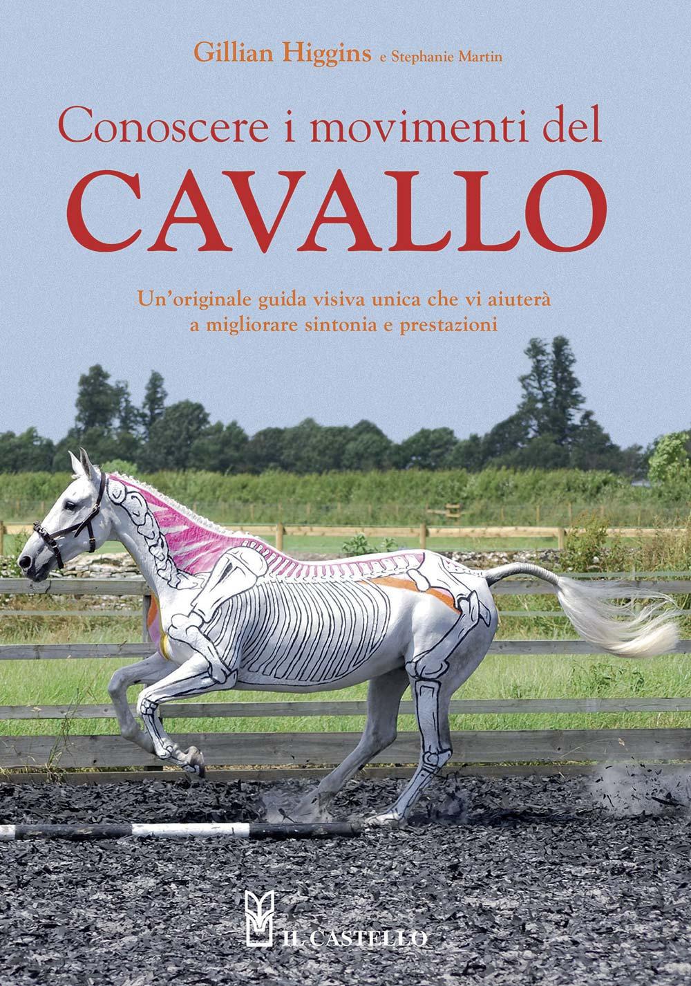 Vorderes Coverbild Conoscere i movimenti del cavallo