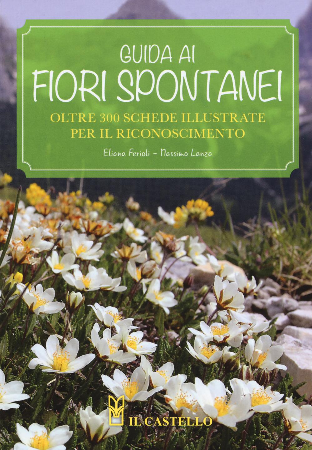 Vorderes Coverbild Guida ai fiori spontanei