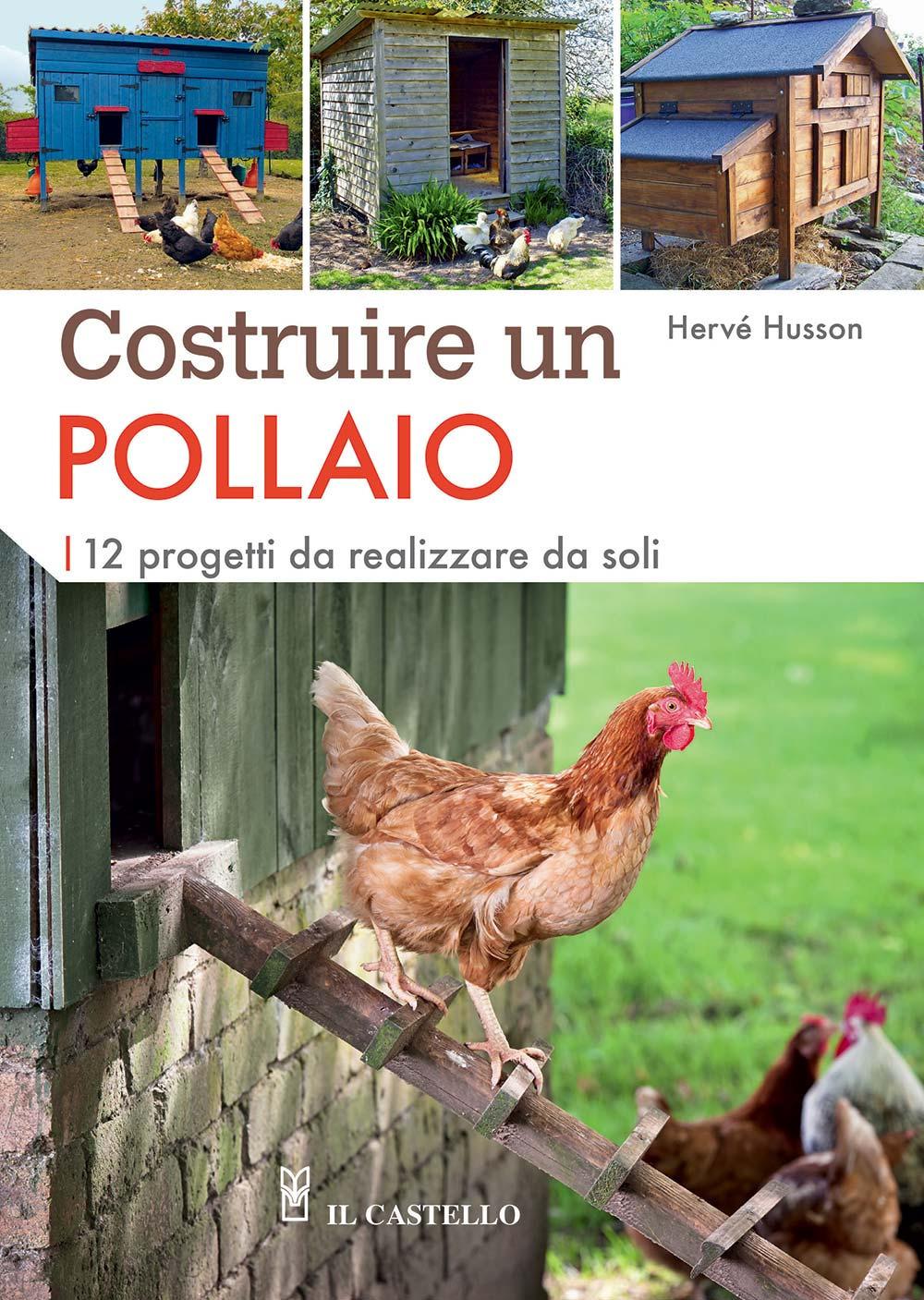 Vorderes Coverbild Costruire un pollaio. 12 progetti da realizzare da soli