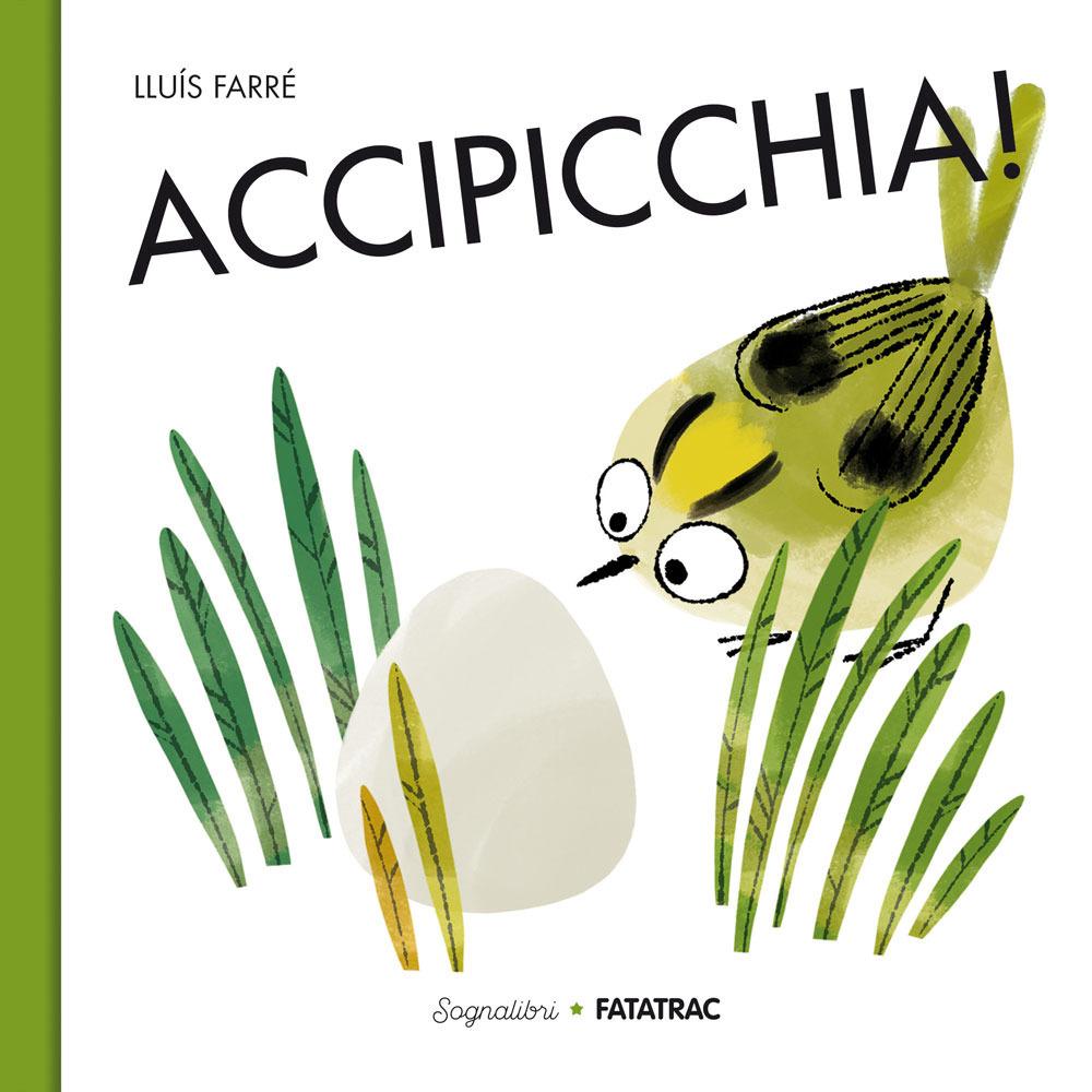 Vorderes Coverbild Accipicchia!